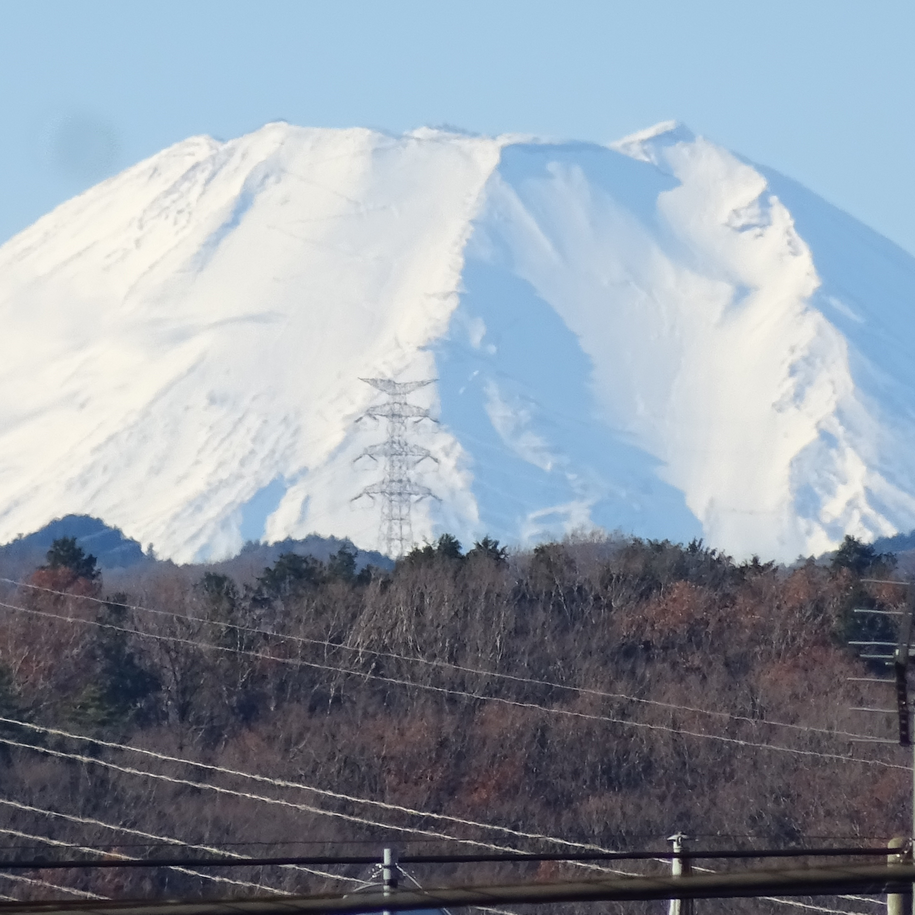 スクラッチ